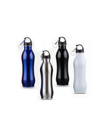 Stainless Steel Bottle